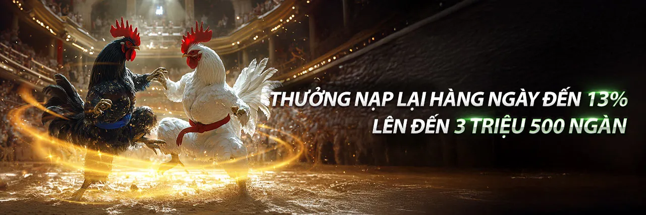 Đá Gà Thomo Ngày 23 Tháng 5 Năm 2024